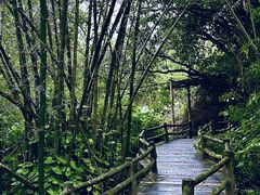-海口火山口国家地质公园