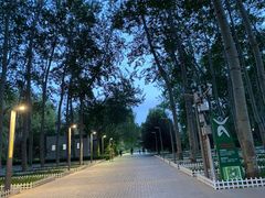 -仁和公园(顺义区)