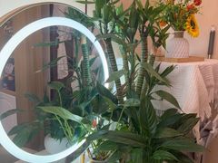 -岚魅儿·洗头头疗·按摩SPA(金光华店)