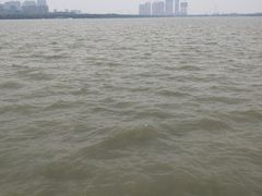 -燕鸣岛