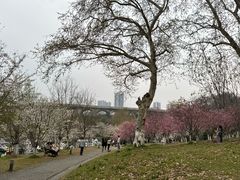 -龟山风景区-龟山电视塔