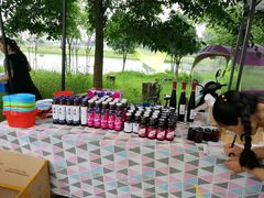 -金谷域澳洲庄园