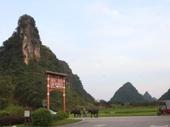 -靖西鹅泉风景区