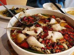 -眉州东坡·熊猫主题餐厅(枫蓝店)
