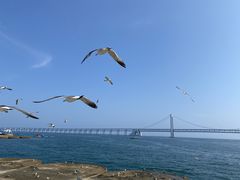 -星海广场