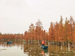 -白鹭湾湿地公园