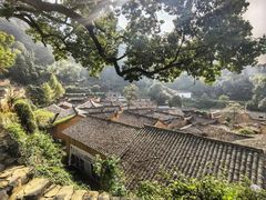 -杨家堂村