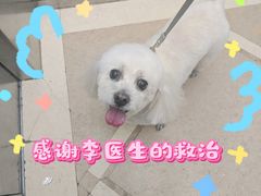 -美联众合爱康动物医院•复杂内科•肿瘤科•牙科•腔镜诊疗中心