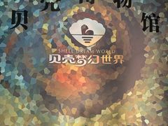 -贝壳梦幻世界