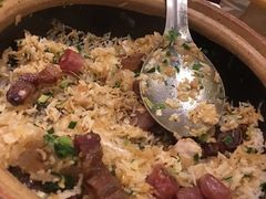 特级煲仔饭-润园四季椰子鸡火锅(海上世界店)