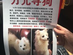 -瑞派长江宠物医院·猫科·外科·24小时夜护(谊城公寓分院)