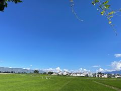 -喜林苑·稻田餐厅(品相府店)