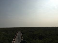 -北海金海湾红树林生态旅游区