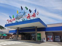 -南纪白浜Toretore市场