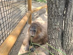 -南戴河国际娱乐中心