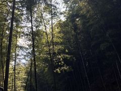 -天目湖御水温泉·度假酒店