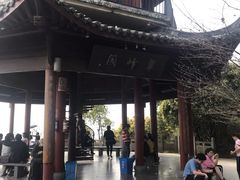 -杭州半山国家森林公园