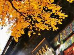 -红螺寺