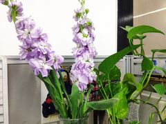 -星巴克(虹口运动loft店)