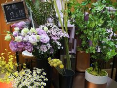 -蝶舍·MAISON PAPILLON