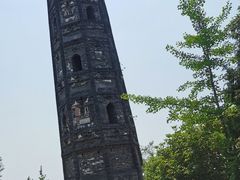 -上海佘山国家森林公园天马山园