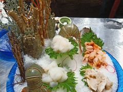 -半岛听涛蒸汽海鲜自助(K11店)