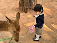 -深圳野生动物园