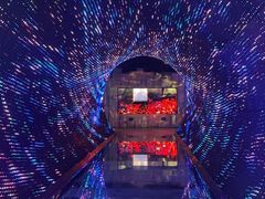 -正佳自然科学博物馆