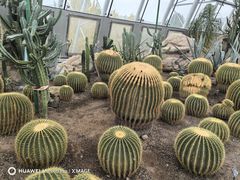 -国家植物园南园