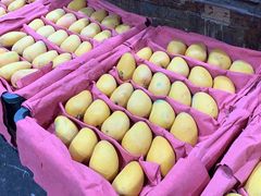 -菜园坝水果市场