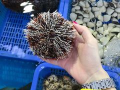 -四川小胡子海鲜(丁村万人海鲜广场店)