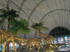 -辽宁古生物博物馆