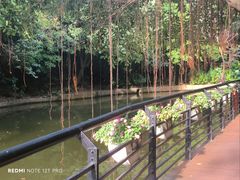 -月亮湾公园