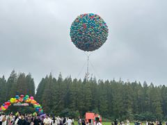 -黄海国家森林公园