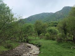 -兰州吐鲁沟国家森林公园