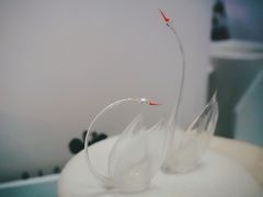 -BLACKSWAN黑天鹅(环球店)