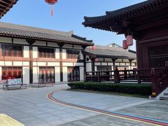 -大唐贡茶院