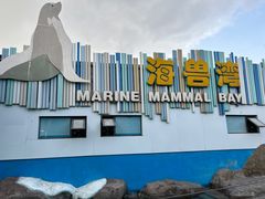 -海合安成都极地海洋公园