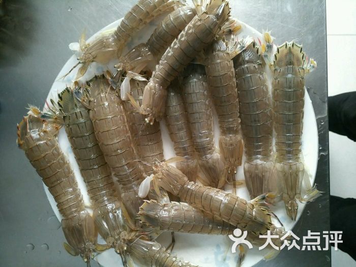 皮皮虾