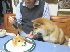 -Mr.Fat Duck肥鸭先生西餐厅