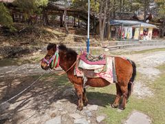 -康定跑马山风景区
