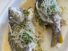 -龙悦湾酒家·八阵鱼生·渔人码头店