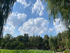 -莲池书院博物馆