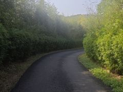 -天目湖涵田度假村