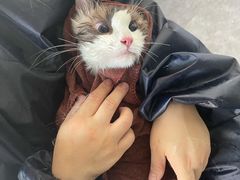 -宠颐生宠物医院·犬猫全科·皮肤科(商业街店)