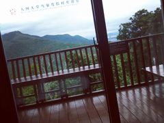 亚龙湾人间天堂-鸟巢度假村-三亚亚龙湾人间天堂鸟巢度假村