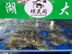 -阳澄湖大闸蟹·琼灵阁牌品牌连锁(吴中总店)