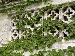 -上海佘山国家森林公园西佘山园