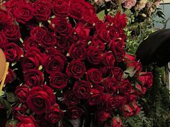 -第101座花园餐厅(湖滨88店)