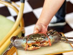 -亚特兰蒂斯·蟹餐厅 CRAB KITCHEN·鲜活海鲜